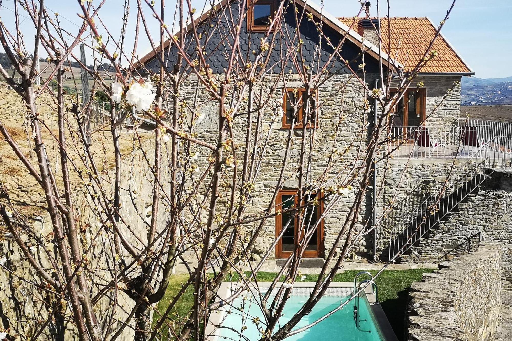 Sobreiro'S Villa In Douro Valley เมเซาฟริโอ ภายนอก รูปภาพ